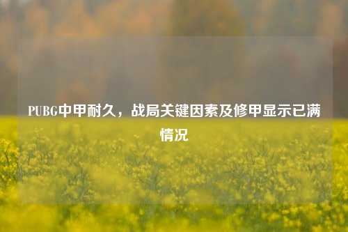 PUBG中甲耐久,战局关键因素及修甲显示已满情况