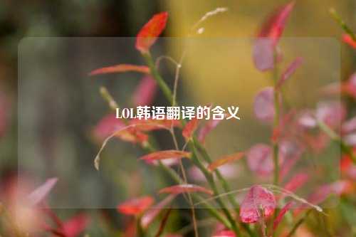 LOL韩语翻译的含义