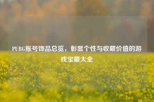 PUBG账号饰品总览,彰显个性与收藏价值的游戏宝藏大全