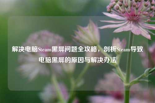 解决电脑Steam黑屏问题全攻略,剖析Steam导致电脑黑屏的原因与解决办法