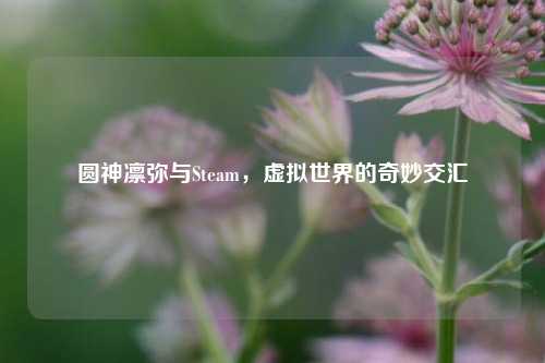 圆神凛弥与Steam，虚拟世界的奇妙交汇
