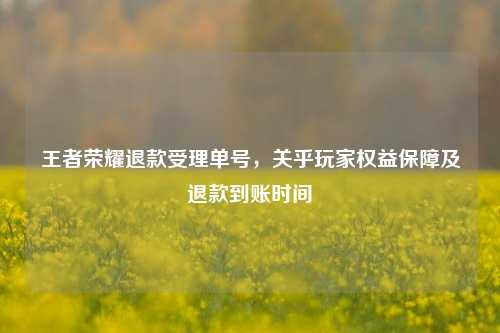 王者荣耀退款受理单号,关乎玩家权益保障及退款到账时间