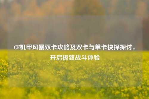 CF机甲风暴双卡攻略及双卡与单卡抉择探讨，开启极致战斗体验