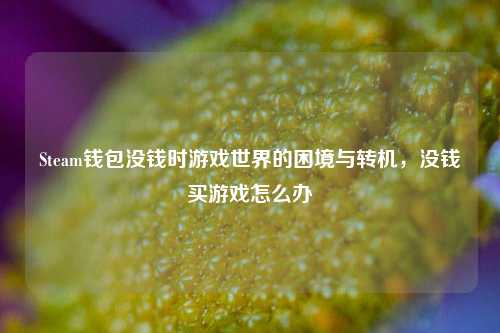 Steam钱包没钱时游戏世界的困境与转机,没钱买游戏怎么办