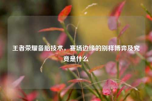 王者荣耀备胎技术,赛场边缘的别样博弈及究竟是什么