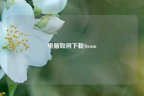 电脑如何下载Steam