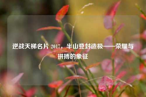 逆战天梯名片 2017，半山登封造极——荣耀与拼搏的象征
