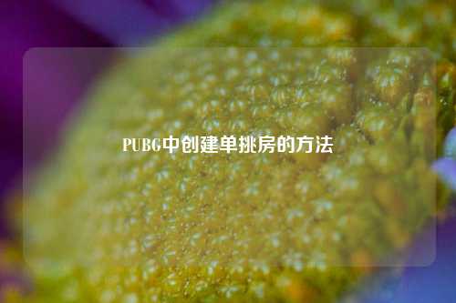 PUBG中创建单挑房的方法