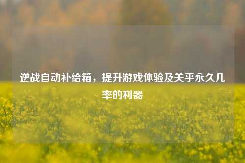 逆战自动补给箱,提升游戏体验及关乎永久几率的利器