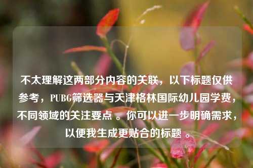 不太理解这两部分内容的关联，以下标题仅供参考，PUBG筛选器与天津格林国际幼儿园学费，不同领域的关注要点 。你可以进一步明确需求，以便我生成更贴合的标题 。