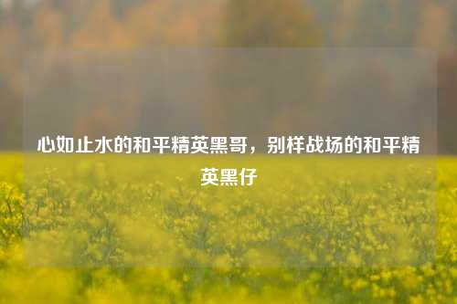 心如止水的和平精英黑哥,别样战场的和平精英黑仔