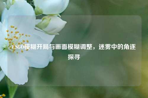 CSGO模糊开局与画面模糊调整,迷雾中的角逐探寻