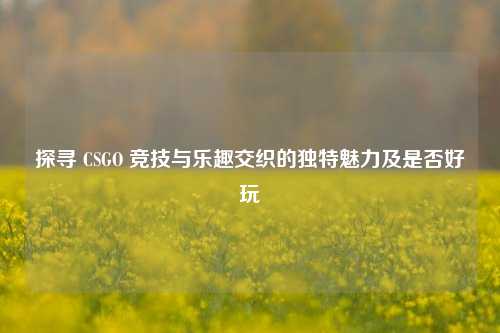 探寻 CSGO 竞技与乐趣交织的独特魅力及是否好玩