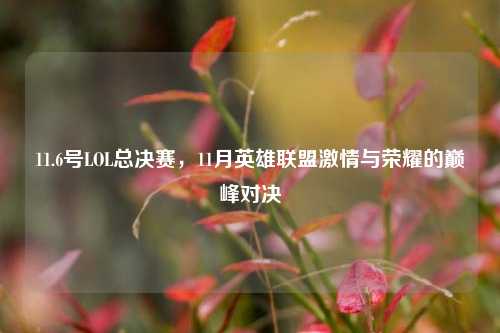 11.6号LOL总决赛,11月英雄联盟激情与荣耀的巅峰对决