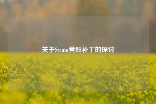 关于Steam黄鼬补丁的探讨