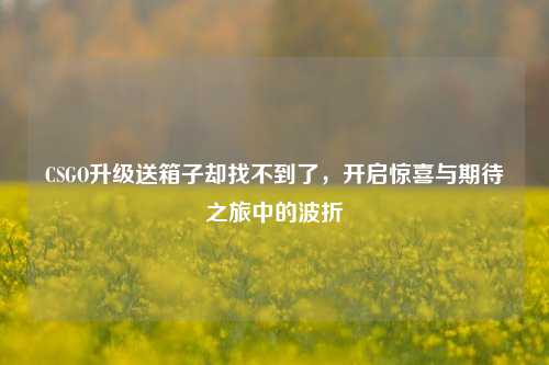 CSGO升级送箱子却找不到了,开启惊喜与期待之旅中的波折