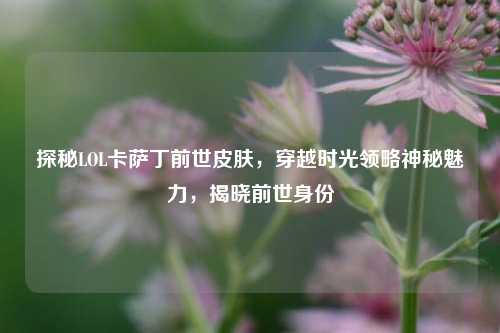探秘LOL卡萨丁前世皮肤,穿越时光领略神秘魅力,揭晓前世身份