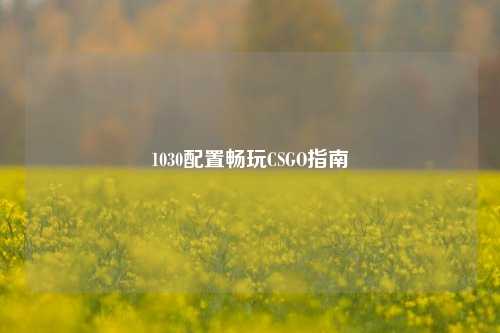 1030配置畅玩CSGO指南
