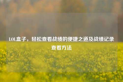 LOL盒子，轻松查看战绩的便捷之道及战绩记录查看方法