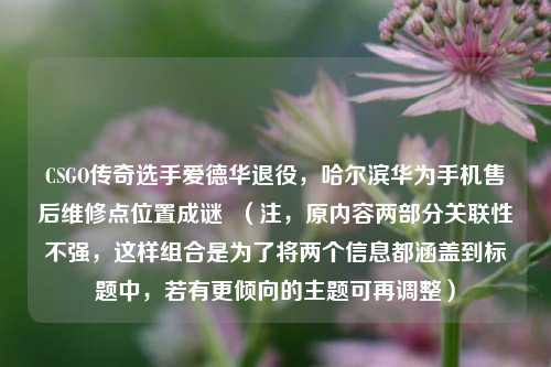 CSGO传奇选手爱德华退役，哈尔滨华为手机售后维修点位置成谜  （注，原内容两部分关联性不强，这样组合是为了将两个信息都涵盖到标题中，若有更倾向的主题可再调整）