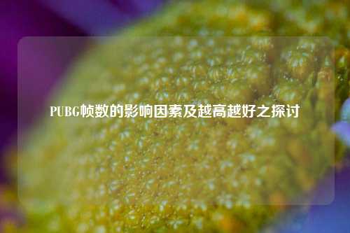 PUBG帧数的影响因素及越高越好之探讨
