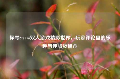 探寻Steam双人游戏精彩世界,玩家评论里的乐趣与体验及推荐