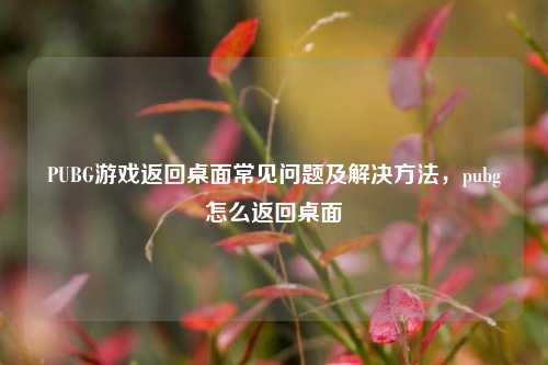 PUBG游戏返回桌面常见问题及解决方法,pubg怎么返回桌面