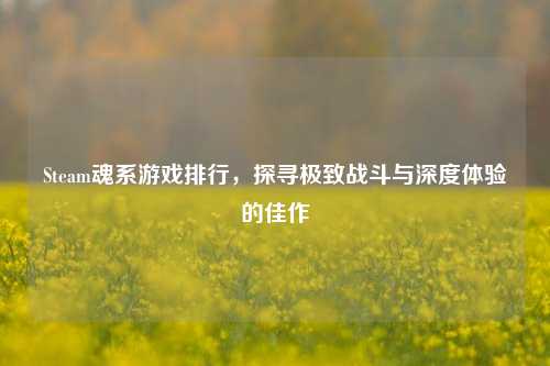 Steam魂系游戏排行,探寻极致战斗与深度体验的佳作