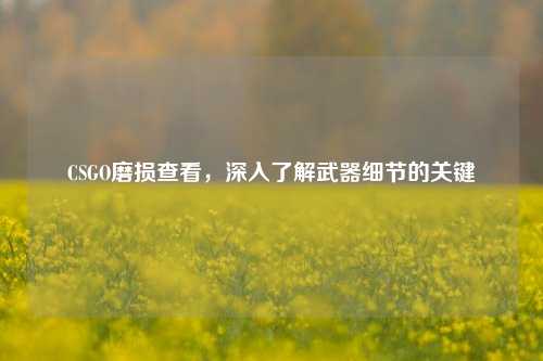 CSGO磨损查看,深入了解武器细节的关键