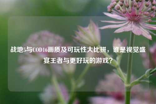 战地5与COD16画质及可玩性大比拼,谁是视觉盛宴王者与更好玩的游戏?