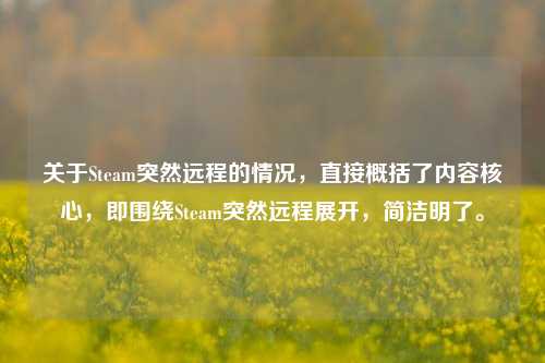关于Steam突然远程的情况，直接概括了内容核心，即围绕Steam突然远程展开，简洁明了。