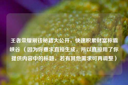 王者荣耀刷钱秘籍大公开,快速积累财富称霸峡谷 (因为你要求直接生成,所以直接用了你提供内容中的标题,若有其他需求可再调整)