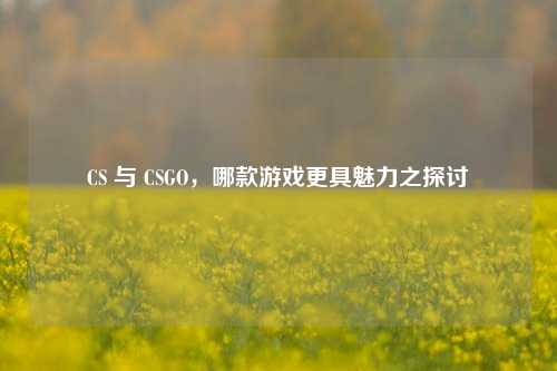 CS 与 CSGO，哪款游戏更具魅力之探讨