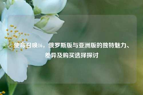 使命召唤16,俄罗斯版与亚洲版的独特魅力、差异及购买选择探讨