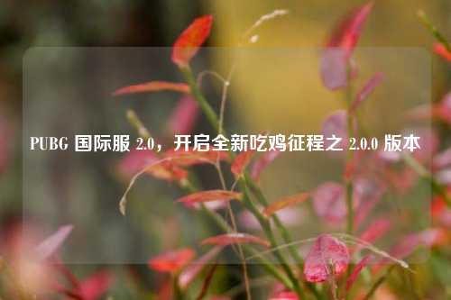 PUBG 国际服 2.0，开启全新吃鸡征程之 2.0.0 版本