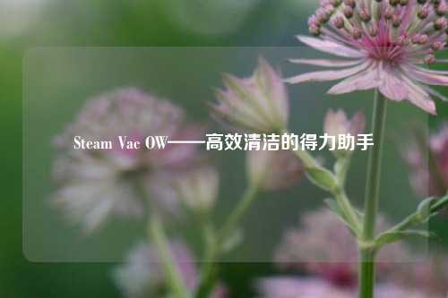 Steam Vac OW——高效清洁的得力助手