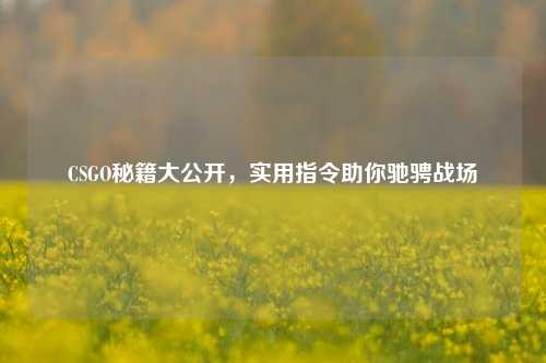 CSGO秘籍大公开,实用指令助你驰骋战场