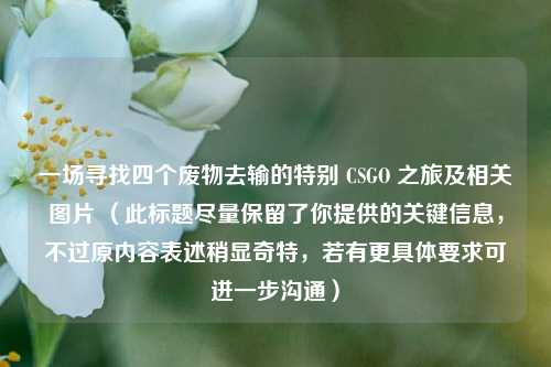一场寻找四个废物去输的特别 CSGO 之旅及相关图片 （此标题尽量保留了你提供的关键信息，不过原内容表述稍显奇特，若有更具体要求可进一步沟通）