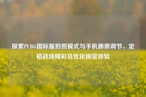 探索PUBG国际服拍照模式与手机画质调节,定格战场精彩及优化视觉体验