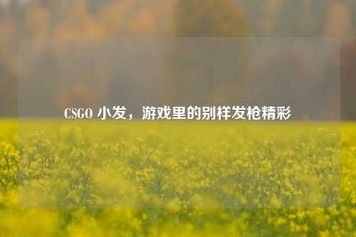 CSGO 小发,游戏里的别样发枪精彩