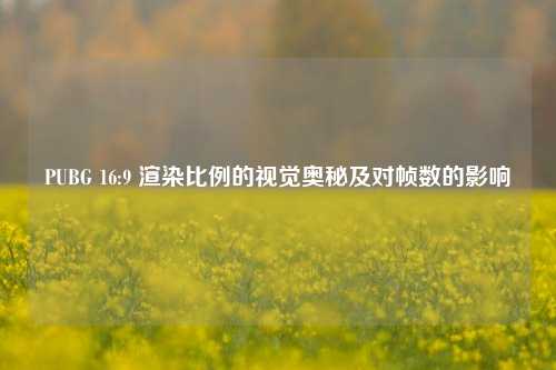 PUBG 16:9 渲染比例的视觉奥秘及对帧数的影响