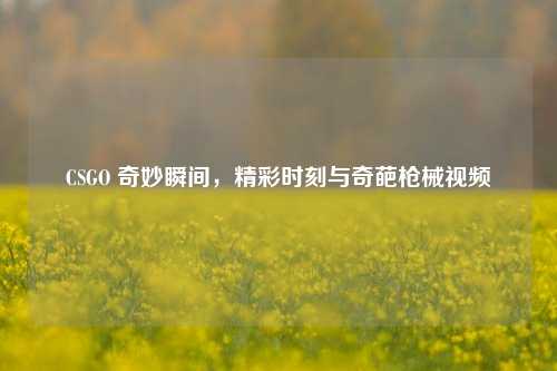 CSGO 奇妙瞬间，精彩时刻与奇葩枪械视频