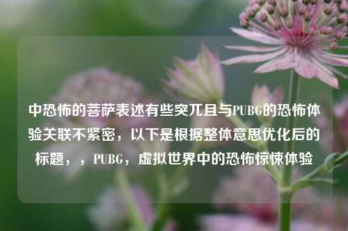 中恐怖的菩萨表述有些突兀且与PUBG的恐怖体验关联不紧密,以下是根据整体意思优化后的标题,,PUBG,虚拟世界中的恐怖惊悚体验