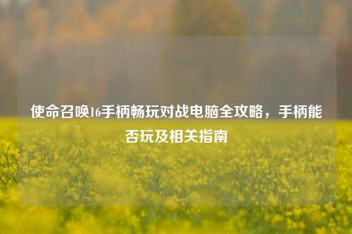 使命召唤16手柄畅玩对战电脑全攻略,手柄能否玩及相关指南