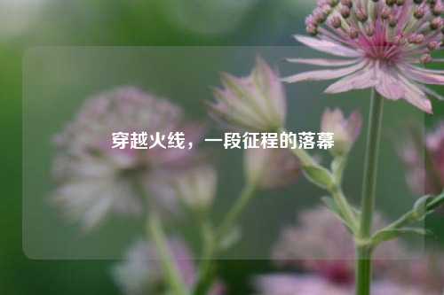 穿越火线,一段征程的落幕