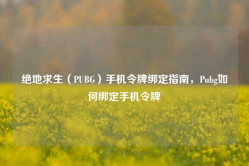 绝地求生（PUBG）手机令牌绑定指南，Pubg如何绑定手机令牌