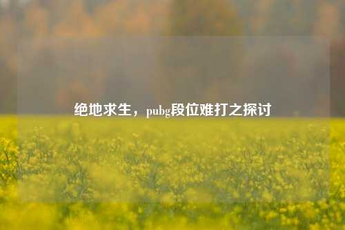绝地求生,pubg段位难打之探讨