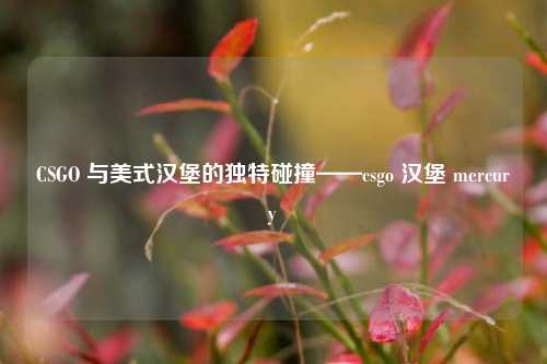 CSGO 与美式汉堡的独特碰撞——csgo 汉堡 mercury