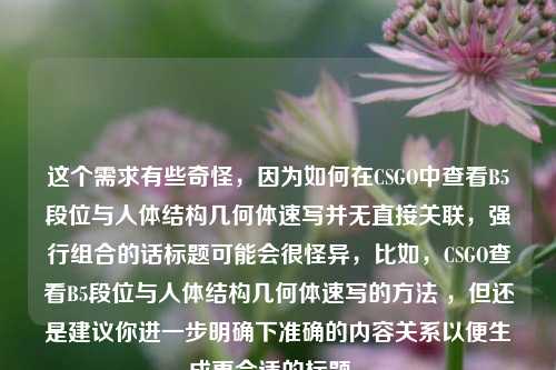 这个需求有些奇怪,因为如何在CSGO中查看B5段位与人体结构几何体速写并无直接关联,强行组合的话标题可能会很怪异,比如,CSGO查看B5段位与人体结构几何体速写的方法 ,但还是建议你进一步明确下准确的内容关系以便生成更合适的标题 。
