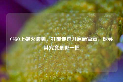 CSGO上架火麒麟,打破传统开启新篇章,探寻其究竟是哪一把